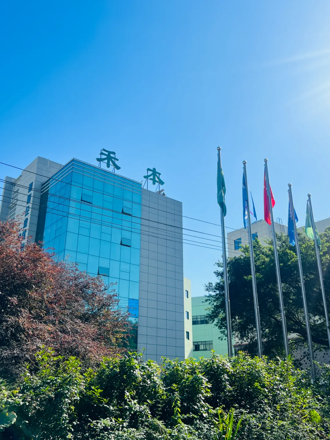 微信图片_20241205081900.png