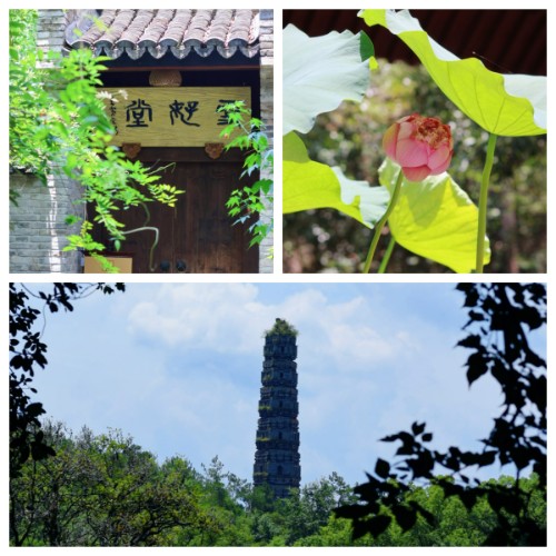 未命名3.jpg